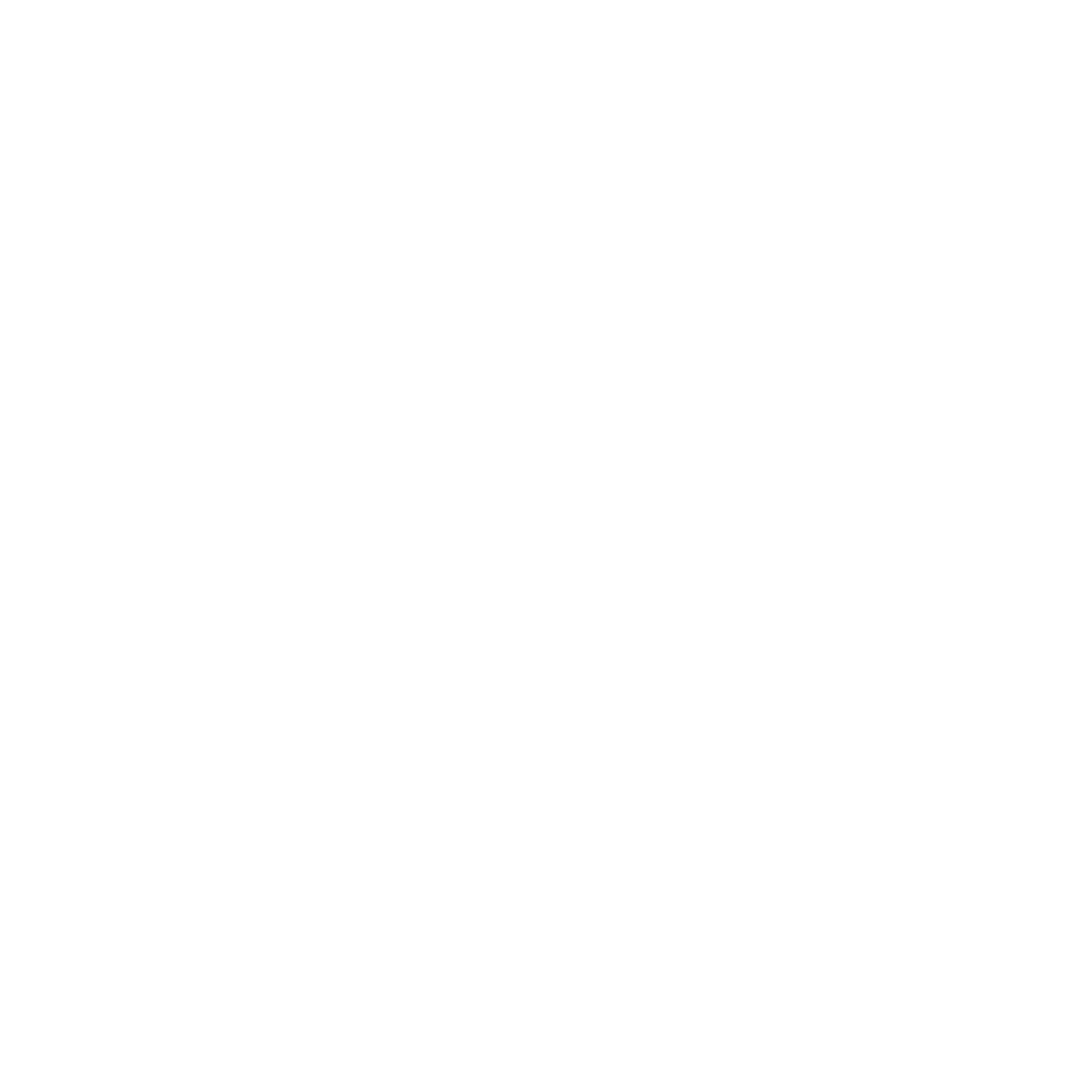 OASIS INSTITUTE